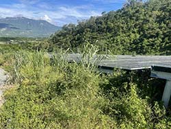 台東割草除草