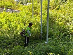 台東割草除草