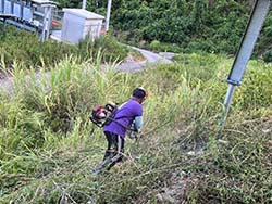 台東割草除草