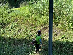 台東割草除草