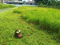 台東割草除草