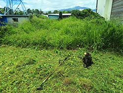 台東割草除草