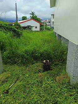 台東割草除草